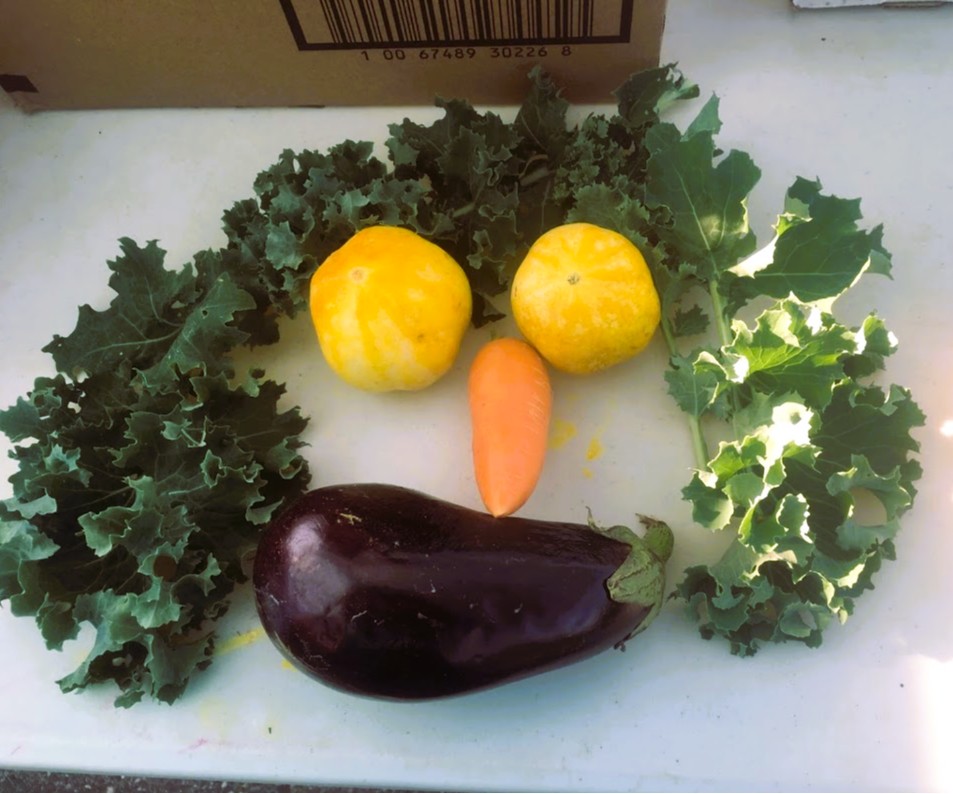 HUT face